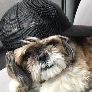 Meet your Posher, Sandra